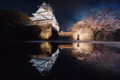 Osaka, Burg Ōsaka